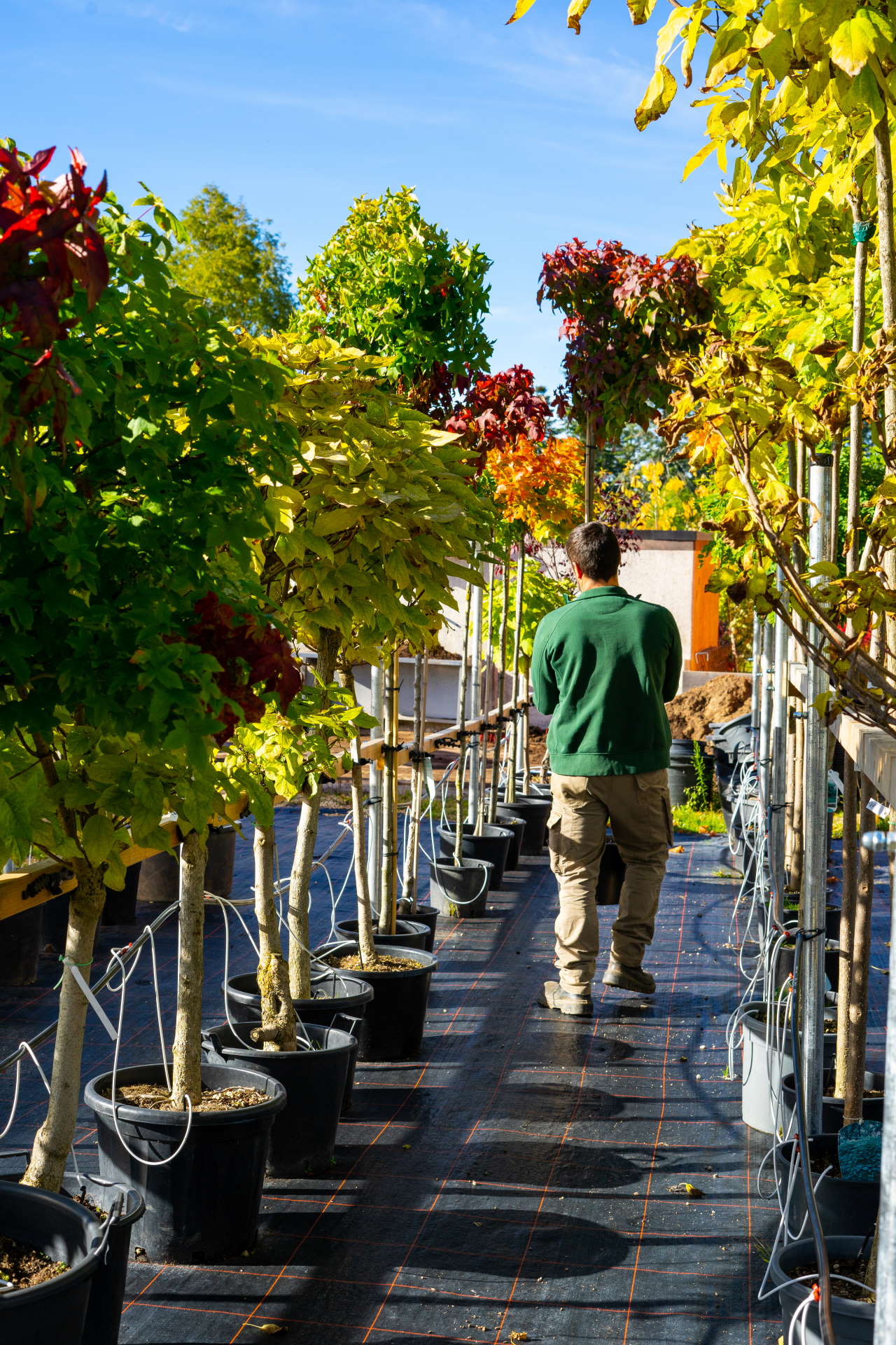 Baumschule & Gartenbau van Pütten START